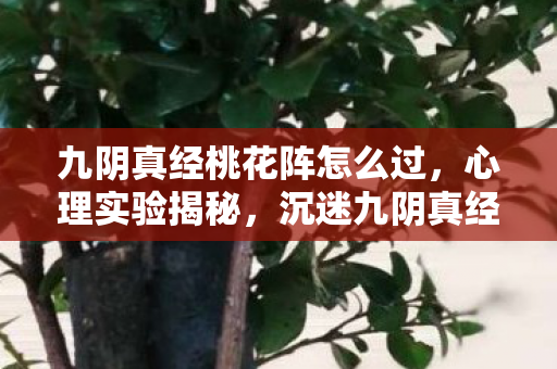 九阴真经桃花阵怎么过,心理实验揭秘,沉迷九阴真经桃花阵,细思极恐的自我麻醉 九阴真经桃花阵怎么过,心理实验揭秘,沉迷九阴真经桃花阵,细思极恐的自我麻醉