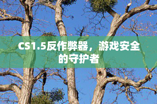 游戏安全的守护者图片