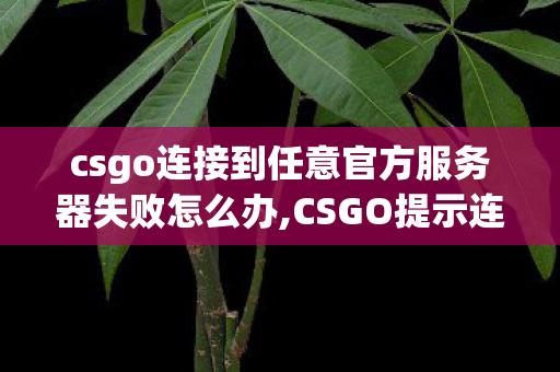csgo连接到任意官方服务器失败怎么办,CSGO提示连接任意官方服务器失败?实用排查指南帮你快速解决 csgo连接到任意官方服务器失败怎么办,CSGO提示连接任意官方服务器失败?实用排查指南帮你快速解决
