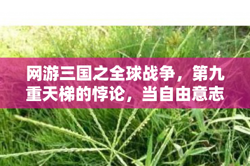 网游三国之全球战争,第九重天梯的悖论,当自由意志成为命运牢笼的钥匙 网游三国之全球战争,第九重天梯的悖论,当自由意志成为命运牢笼的钥匙