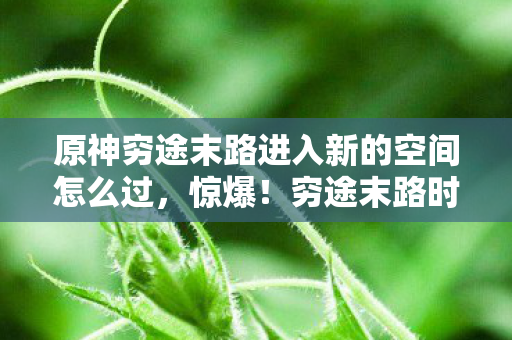 原神穷途末路进入新的空间怎么过,惊爆!穷途末路时,原神新空间竟藏着99%人不知的逆天秘密 原神穷途末路进入新的空间怎么过,惊爆!穷途末路时,原神新空间竟藏着99%人不知的逆天秘密