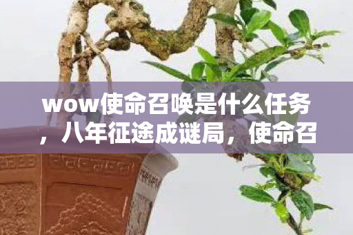 wow使命召唤是什么任务,八年征途成谜局,使命召唤终泪目,一场无声的告别 wow使命召唤是什么任务,八年征途成谜局,使命召唤终泪目,一场无声的告别