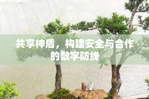 构建安全与合作的数字防线图片