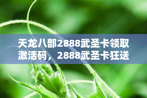 天龙八部2888武圣卡领取激活码,2888武圣卡狂送!00后玩家集体沸腾,这福利竟藏着惊天秘密? 天龙八部2888武圣卡领取激活码,2888武圣卡狂送!00后玩家集体沸腾,这福利竟藏着惊天秘密?