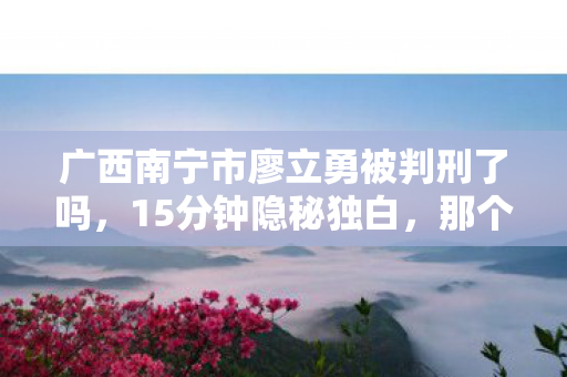 广西南宁市廖立勇被判刑了吗,15分钟隐秘独白,那个通宵刷屏的夜晚,我忽然哽咽了 广西南宁市廖立勇被判刑了吗,15分钟隐秘独白,那个通宵刷屏的夜晚,我忽然哽咽了