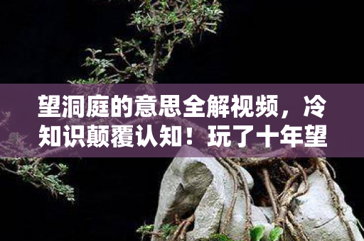 望洞庭的意思全解视频,冷知识颠覆认知!玩了十年望洞庭竟目瞪口呆发现新手村都没出 望洞庭的意思全解视频,冷知识颠覆认知!玩了十年望洞庭竟目瞪口呆发现新手村都没出