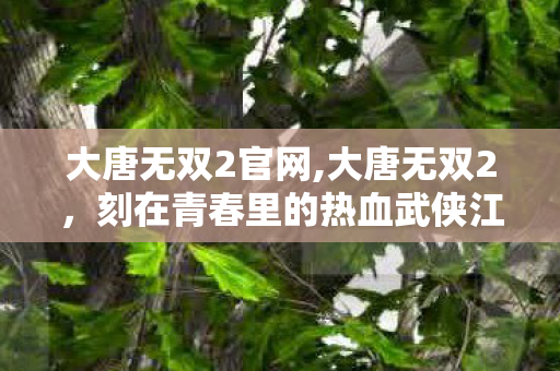 大唐无双2官网,大唐无双2,刻在青春里的热血武侠江湖印记 大唐无双2官网,大唐无双2,刻在青春里的热血武侠江湖印记