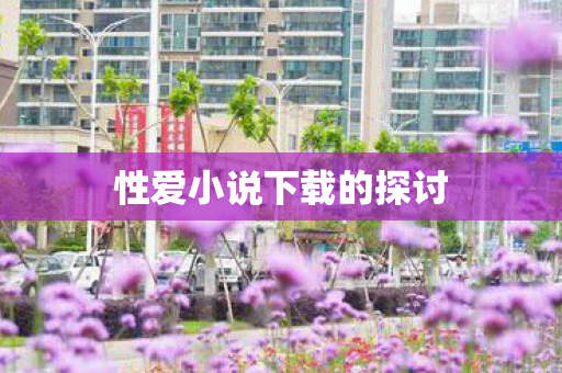 性爱小说下载的探讨图片