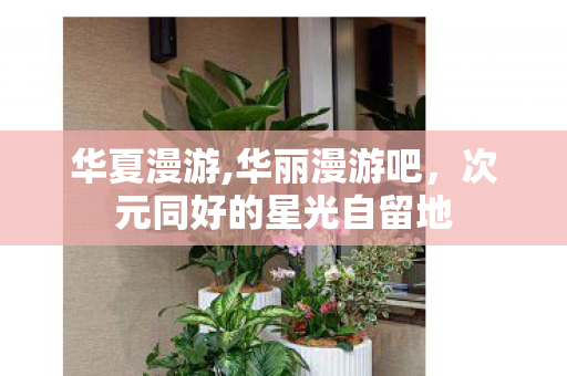 华夏漫游,华丽漫游吧,次元同好的星光自留地 华夏漫游,华丽漫游吧,次元同好的星光自留地