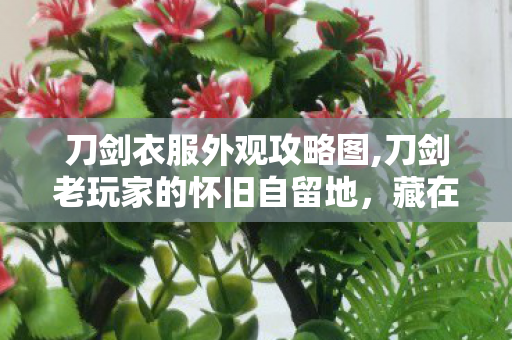 刀剑衣服外观攻略图,刀剑老玩家的怀旧自留地,藏在青春里的专属游戏小世界 刀剑衣服外观攻略图,刀剑老玩家的怀旧自留地,藏在青春里的专属游戏小世界
