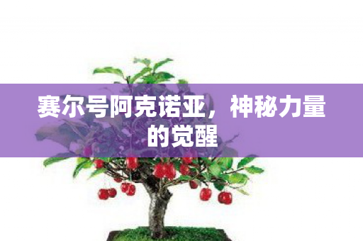 赛尔号阿克诺亚图片