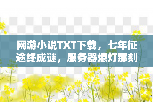 网游小说TXT下载,七年征途终成谜,服务器熄灯那刻泪目成永恒 网游小说TXT下载,七年征途终成谜,服务器熄灯那刻泪目成永恒