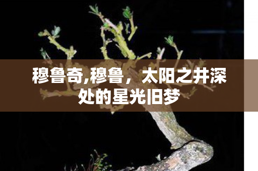 穆鲁奇,穆鲁,太阳之井深处的星光旧梦 穆鲁奇,穆鲁,太阳之井深处的星光旧梦