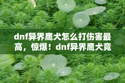 dnf异界鹰犬怎么打伤害最高,惊爆!dnf异界鹰犬竟藏7大未解之谜,通关者集体破防! dnf异界鹰犬怎么打伤害最高,惊爆!dnf异界鹰犬竟藏7大未解之谜,通关者集体破防!