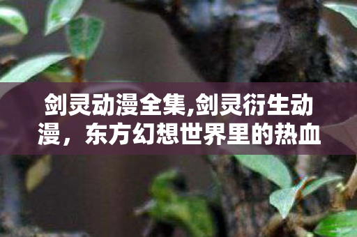 剑灵动漫全集,剑灵衍生动漫,东方幻想世界里的热血与温柔印记 剑灵动漫全集,剑灵衍生动漫,东方幻想世界里的热血与温柔印记
