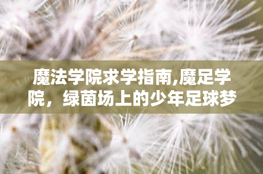 魔法学院求学指南,魔足学院,绿茵场上的少年足球梦工场 魔法学院求学指南,魔足学院,绿茵场上的少年足球梦工场