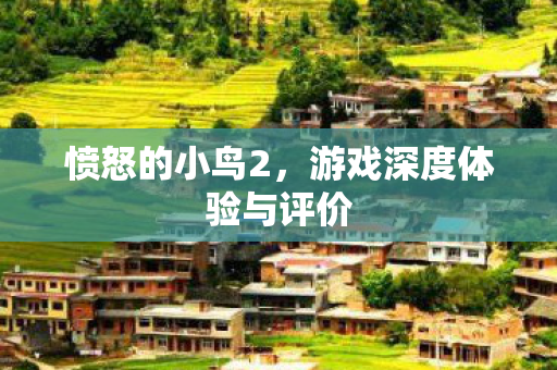 游戏深度体验与评价图片