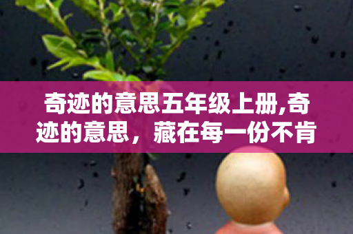 奇迹的意思五年级上册,奇迹的意思,藏在每一份不肯认输的坚持里 奇迹的意思五年级上册,奇迹的意思,藏在每一份不肯认输的坚持里
