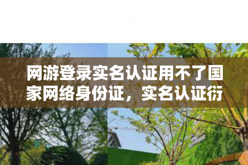 网游登录实名认证用不了国家网络身份证,实名认证衍生数破圈!游戏周边竟让我败出意想不到人生 网游登录实名认证用不了国家网络身份证,实名认证衍生数破圈!游戏周边竟让我败出意想不到人生