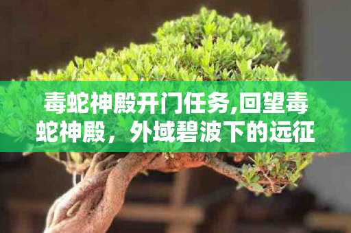 毒蛇神殿开门任务,回望毒蛇神殿,外域碧波下的远征旧梦 毒蛇神殿开门任务,回望毒蛇神殿,外域碧波下的远征旧梦