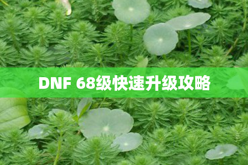 DNF 68级快速升级攻略图片