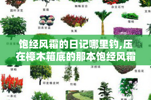 饱经风霜的日记哪里钓,压在樟木箱底的那本饱经风霜的日记 饱经风霜的日记哪里钓,压在樟木箱底的那本饱经风霜的日记