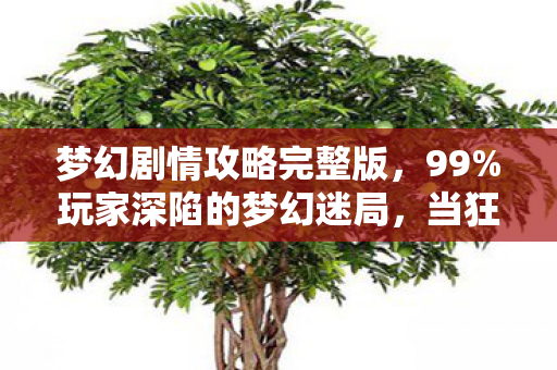 梦幻剧情攻略完整版,99%玩家深陷的梦幻迷局,当狂欢耗尽99%热情,谁在收割最后的1%? 梦幻剧情攻略完整版,99%玩家深陷的梦幻迷局,当狂欢耗尽99%热情,谁在收割最后的1%?