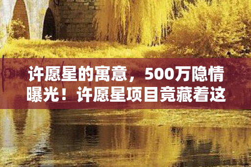 许愿星的寓意,500万隐情曝光!许愿星项目竟藏着这秘密,吓一跳的真相来了 许愿星的寓意,500万隐情曝光!许愿星项目竟藏着这秘密,吓一跳的真相来了