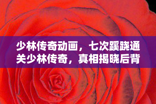 少林传奇动画,七次蹊跷通关少林传奇,真相揭晓后背发凉! 少林传奇动画,七次蹊跷通关少林传奇,真相揭晓后背发凉!