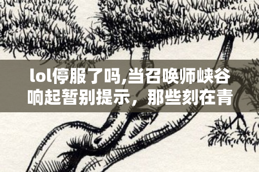lol停服了吗,当召唤师峡谷响起暂别提示,那些刻在青春里的开黑记忆 lol停服了吗,当召唤师峡谷响起暂别提示,那些刻在青春里的开黑记忆