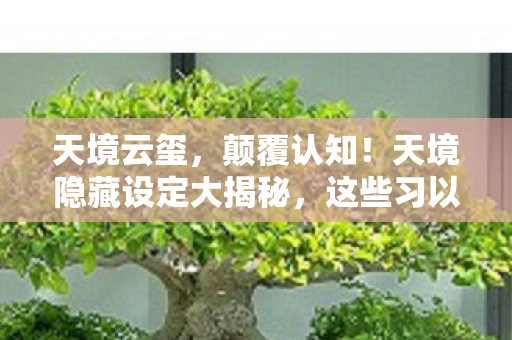 天境云玺,颠覆认知!天境隐藏设定大揭秘,这些习以为常的设计竟藏着目瞪口呆的冷知识! 天境云玺,颠覆认知!天境隐藏设定大揭秘,这些习以为常的设计竟藏着目瞪口呆的冷知识!