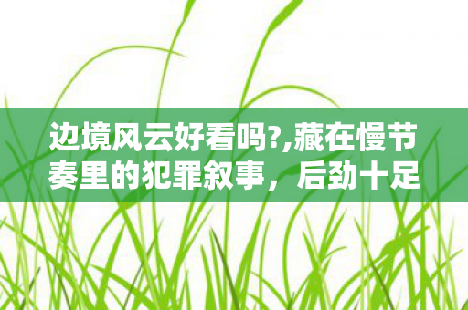边境风云好看吗?,藏在慢节奏里的犯罪叙事,后劲十足的小众佳作 边境风云好看吗?,藏在慢节奏里的犯罪叙事,后劲十足的小众佳作