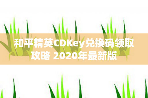 和平精英CDKey兑换码领取攻略 2020年最新版图片