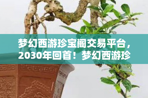 梦幻西游珍宝阁交易平台,2030年回首!梦幻西游珍宝阁十年沉浮,谁料竟藏惊天秘密? 梦幻西游珍宝阁交易平台,2030年回首!梦幻西游珍宝阁十年沉浮,谁料竟藏惊天秘密?