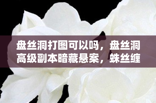 盘丝洞打图可以吗,盘丝洞高级副本暗藏悬案,蛛丝缠绕的线索,毛骨悚然真相待解 盘丝洞打图可以吗,盘丝洞高级副本暗藏悬案,蛛丝缠绕的线索,毛骨悚然真相待解