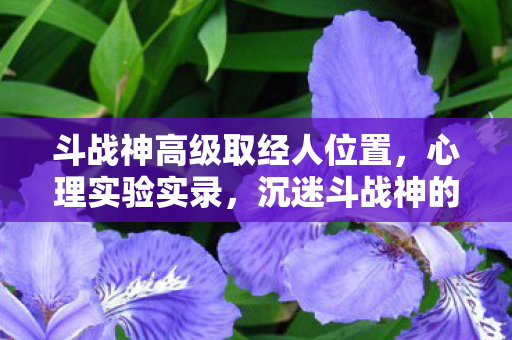 斗战神高级取经人位置,心理实验实录,沉迷斗战神的细思极恐自我麻醉剂量追踪 斗战神高级取经人位置,心理实验实录,沉迷斗战神的细思极恐自我麻醉剂量追踪