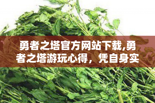 勇者之塔官方网站下载,勇者之塔游玩心得,凭自身实力登顶才是游戏的核心乐趣 勇者之塔官方网站下载,勇者之塔游玩心得,凭自身实力登顶才是游戏的核心乐趣
