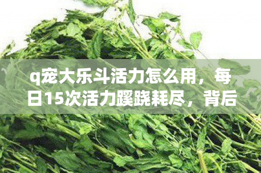 q宠大乐斗活力怎么用,每日15次活力蹊跷耗尽,背后真相让我后背发凉 q宠大乐斗活力怎么用,每日15次活力蹊跷耗尽,背后真相让我后背发凉