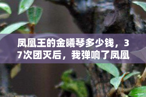 凤凰王的金曦琴多少钱,37次团灭后,我弹响了凤凰王的金曦琴!这把琴藏着什么致命代价? 凤凰王的金曦琴多少钱,37次团灭后,我弹响了凤凰王的金曦琴!这把琴藏着什么致命代价?