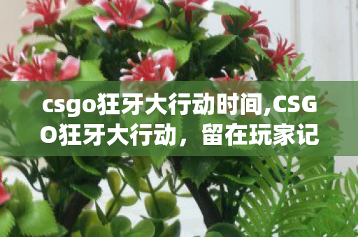 csgo狂牙大行动时间,CSGO狂牙大行动,留在玩家记忆里的热血冒险之旅 csgo狂牙大行动时间,CSGO狂牙大行动,留在玩家记忆里的热血冒险之旅