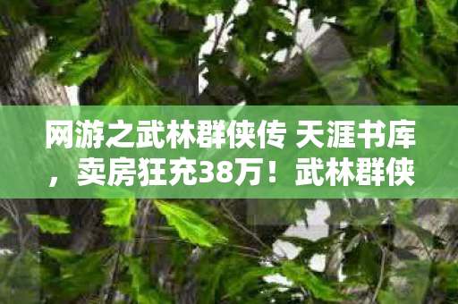网游之武林群侠传 天涯书库,卖房狂充38万!武林群侠传背后竟藏着离婚协议的惊天隐情! 网游之武林群侠传 天涯书库,卖房狂充38万!武林群侠传背后竟藏着离婚协议的惊天隐情!