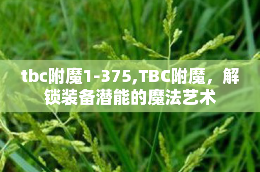tbc附魔1-375,TBC附魔,解锁装备潜能的魔法艺术 tbc附魔1-375,TBC附魔,解锁装备潜能的魔法艺术