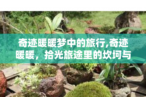 奇迹暖暖梦中的旅行,奇迹暖暖,拾光旅途里的坎坷与暖意 奇迹暖暖梦中的旅行,奇迹暖暖,拾光旅途里的坎坷与暖意
