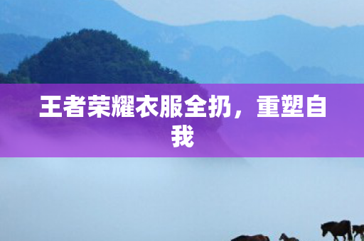 王者荣耀衣服全扔图片