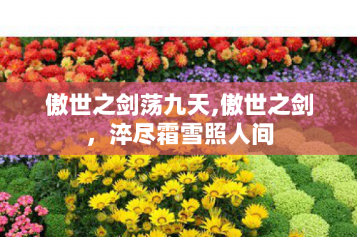 傲世之剑荡九天,傲世之剑,淬尽霜雪照人间 傲世之剑荡九天,傲世之剑,淬尽霜雪照人间