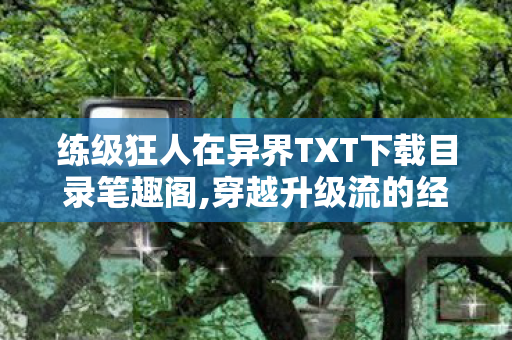 练级狂人在异界TXT下载目录笔趣阁,穿越升级流的经典印记,的热血叙事魅力 练级狂人在异界TXT下载目录笔趣阁,穿越升级流的经典印记,的热血叙事魅力