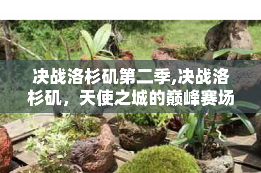 决战洛杉矶第二季,决战洛杉矶,天使之城的巅峰赛场回响 决战洛杉矶第二季,决战洛杉矶,天使之城的巅峰赛场回响