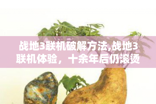 战地3联机破解方法,战地3联机体验,十余年后仍滚烫的战场情怀 战地3联机破解方法,战地3联机体验,十余年后仍滚烫的战场情怀