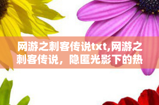网游之刺客传说txt,网游之刺客传说,隐匿光影下的热血游戏江湖 网游之刺客传说txt,网游之刺客传说,隐匿光影下的热血游戏江湖