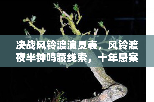 决战风铃渡演员表,风铃渡夜半钟鸣藏线索,十年悬案背后毛骨悚然真相 决战风铃渡演员表,风铃渡夜半钟鸣藏线索,十年悬案背后毛骨悚然真相